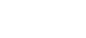 havaianas